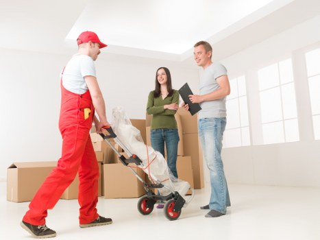 Professional Man With A Van Swiss Cottage service focused on safety and insurance