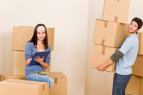 Domestic moving support for furniture and boxes